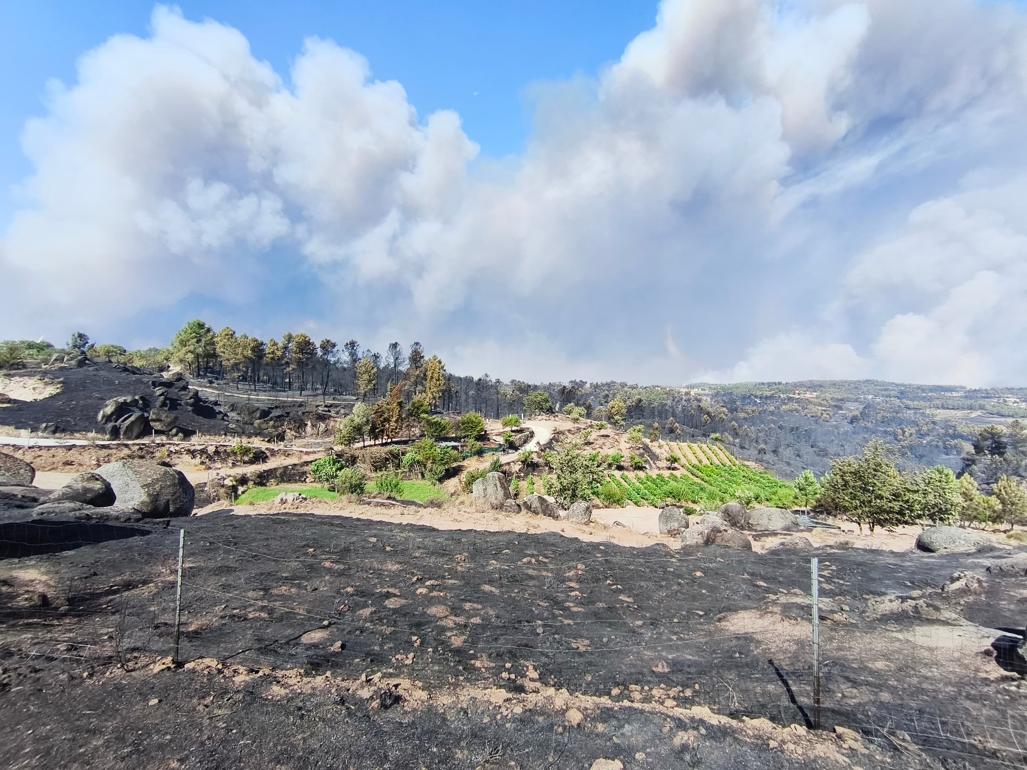 Incêndio de 2025 no Vale Alegre